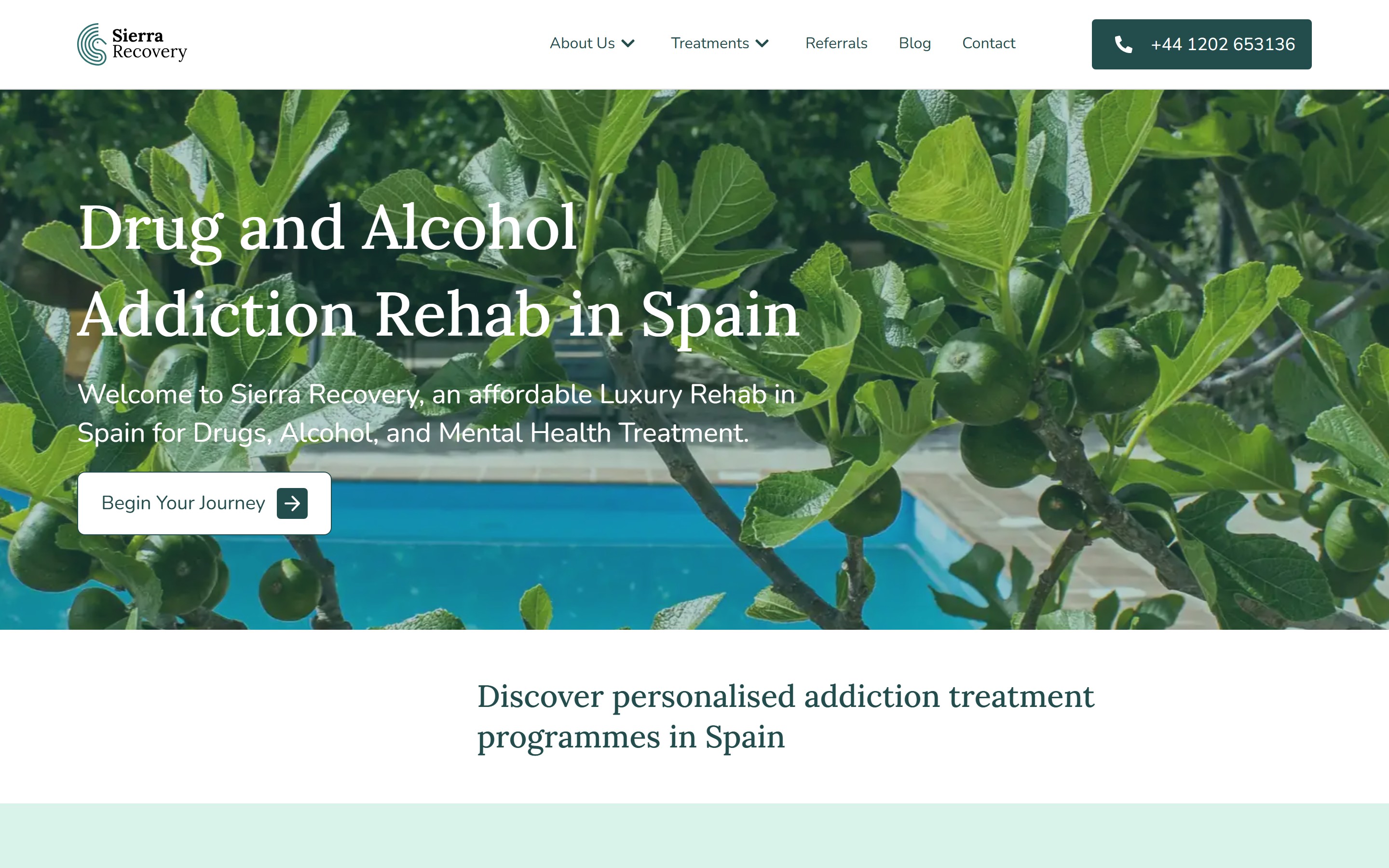 Client website, desktop