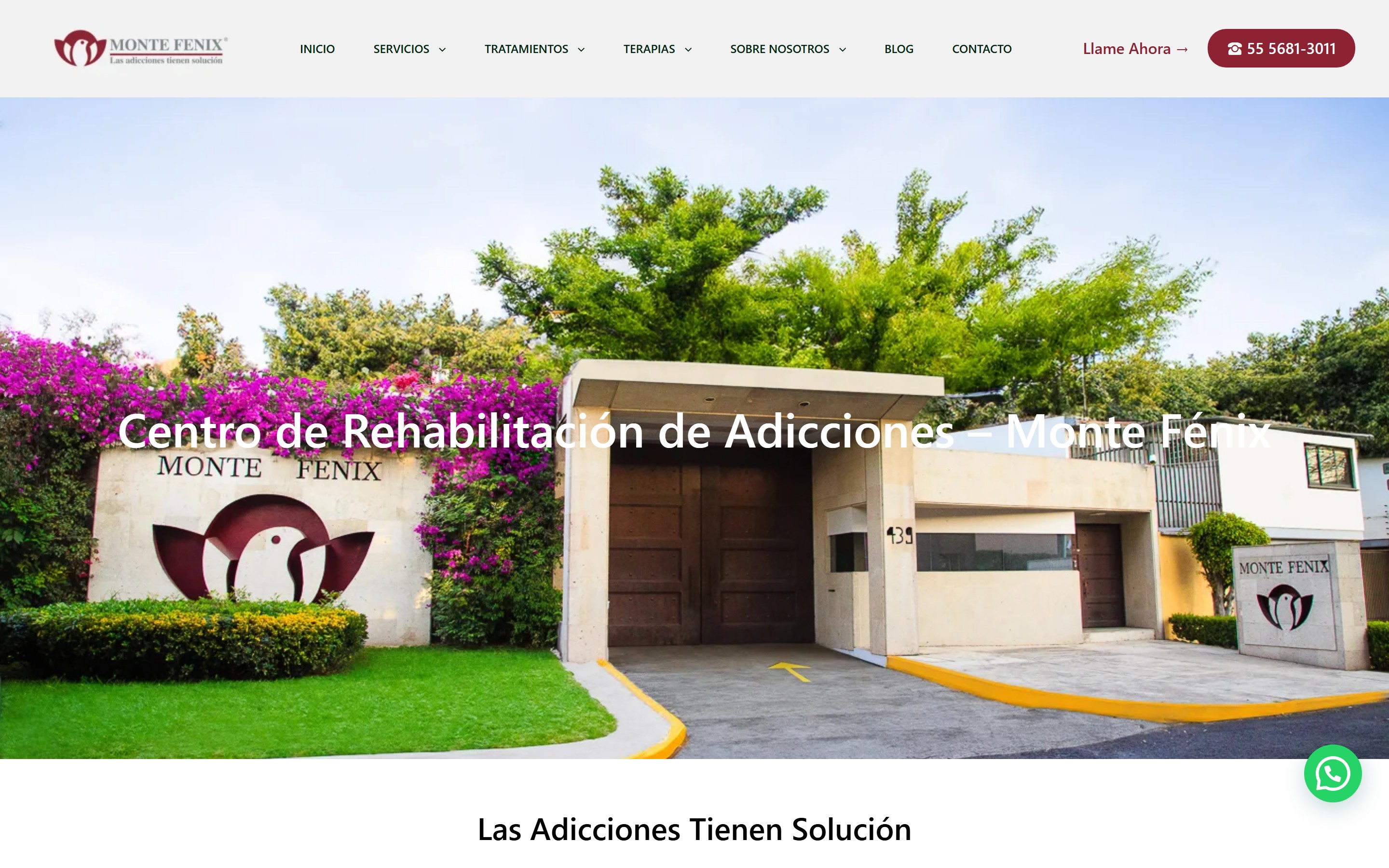 Client website, desktop