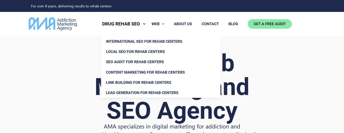 Old navigation: a short menu with a simple drop-down of a few links