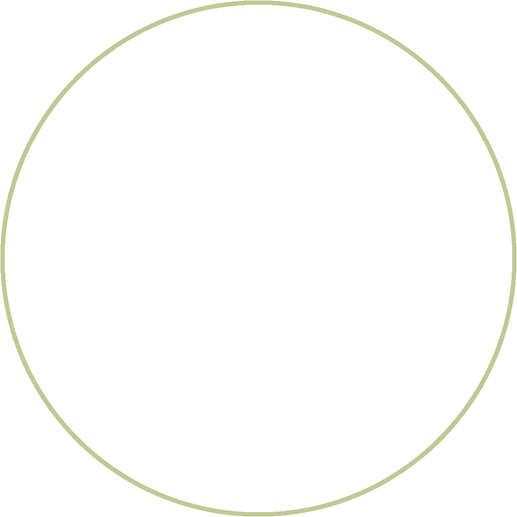 Construction of the Sierra Recovery emblem from concentric circles