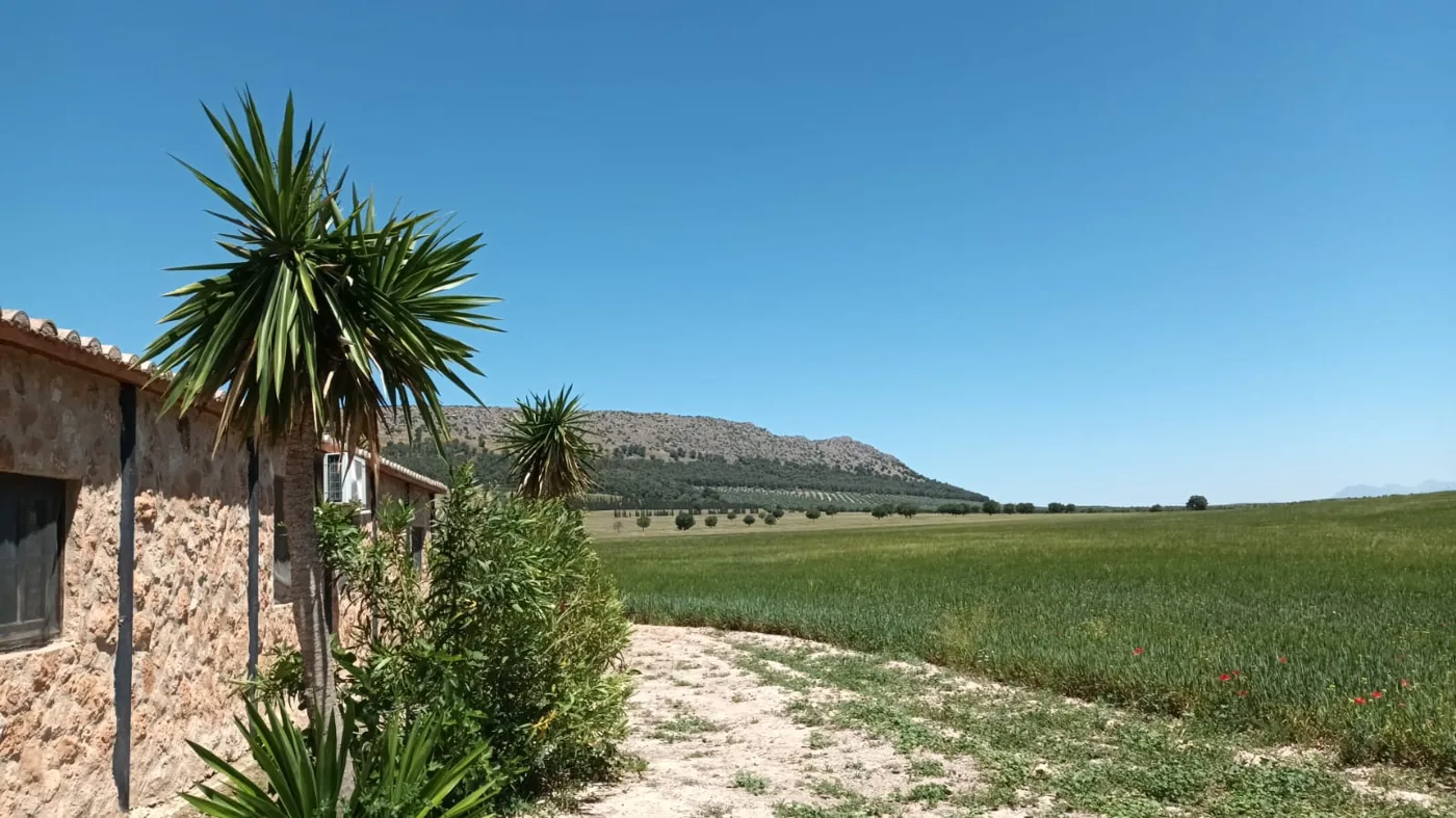 The Andalusian landscape around Sierra Recovery, near El Torcal, M&aacute;laga